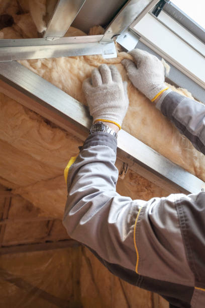 Best DIY Insulation Kits and Guidance in Kings Park West, VA