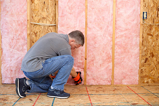 Best Commercial Insulation in Kings Park West, VA