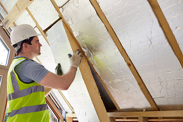 Best Geographic-Specific Insulation Services in Kings Park West, VA