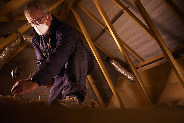 Best Residential Insulation in Kings Park West, VA