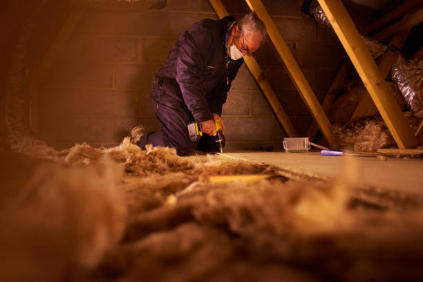 Professional Insulation Contractor in Kings Park West, VA