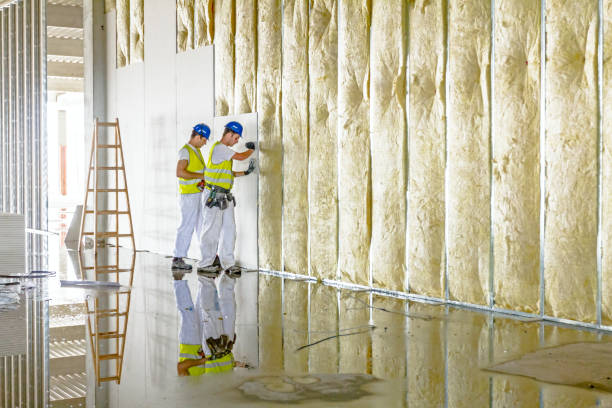Best Eco-Friendly Insulation in Kings Park West, VA
